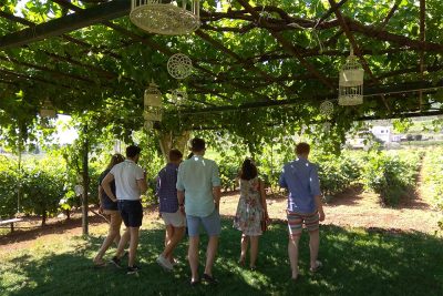 Tour to Nemea by Athens in a tour