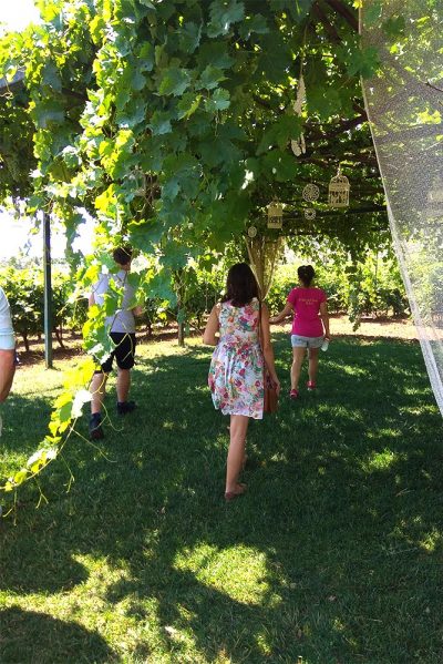 Tour to Nemea by Athens in a tour