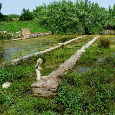 Tour to Vergina, Pella by Athens in a tour